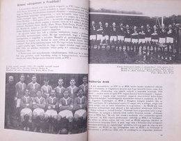 Fradi - The football team of Ferencvaros TC (Hungary)