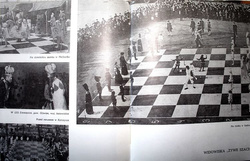 Secrets of 64 chess squares (second edition)