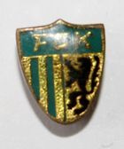 FC Karl-Marx Stadt (East Germany, epoxy)