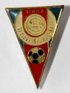 TJ Slovensky Hodvab Senica badge (epoxy; with signature)