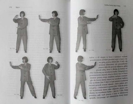 Tai chi without secrets