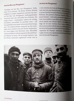 You not shoot, We not shoot