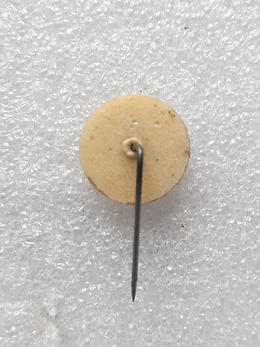 Celtic FC Supporters Association old badge (epoxy)