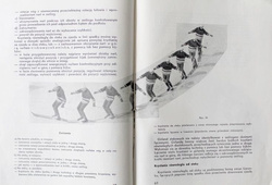 On the alpine and cross-county skis