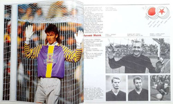 The hundred-year-old Slavia Prague 1893-1993