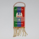 School Sport Club Orlik Frombork old pennant