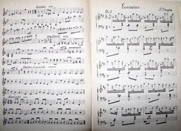 Spectacular gymnastic shows