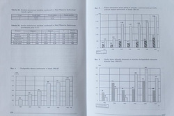 The Football Hooligans