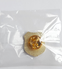 The 80th Anniversary of the OKS Odra Opole pin badge (official product, lacquer)