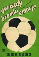 Stars, goals, emotions of Silesian Stadium - history