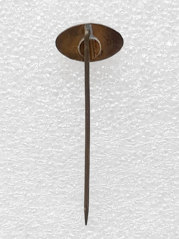 Polonia Poznan badge (lacquer)