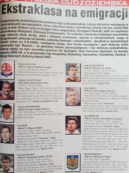 Leagues in Europe and Fan's Guides (Football Library 2003-2009)