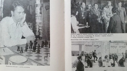 Secrets of 64 chess squares