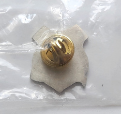 Bruk-Bet Termalica Nieciecza old crest badge (official product, lacquer)