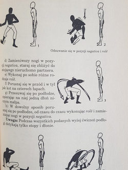 Capoeira. Martial art, music, dance, life