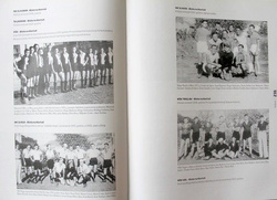 The 90 years of the Split-Dalmatian Football Association