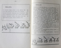 The Programming of gymnastic vault education