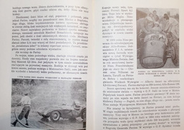 Cars on the World races courses