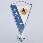 TJ Ruda Hvezda Hradec Kralove sports teams pennant