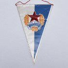 Sport Club Ruda Hvezda Pardubice pennant