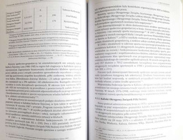 Physical culture in the Kalisz region in the years 1945-1998