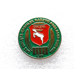 The 100th Anniversary of the Orleta Radzyn Podlaski pin badge (official product, lacquer)