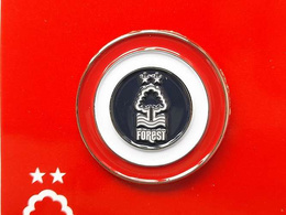Nottingham Forest crest target pin badge (official product)