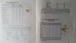 Half century of athletics in Poland