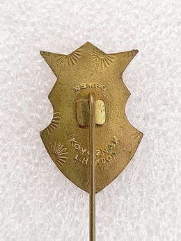 Szombathelyi Haladás crest big badge (epoxy)