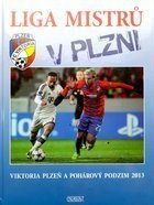 Champions League in Plzen. Viktoria Plzen in the cup in autumn 2013
