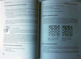 Chess for newbies - everything you should know about ...