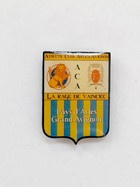 AC Arles-Avignon badge (France, epoxy)