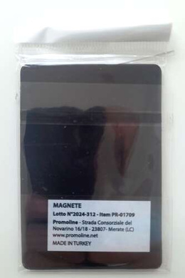 Venezia FC crest rectangle magnet (official product)