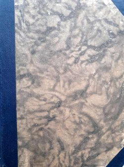 Athletics. Statutes, Regulations, Tables (1932)