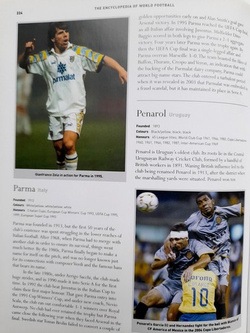 Encyclopedia of World Football. From the origins of the game to 2008. The essential fan's guide