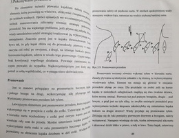 Selected elements of kayaking tourism (AWF Katowice)