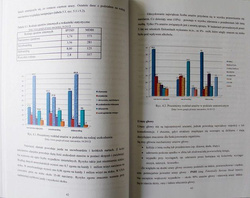 Downhill skiing. Selected aspects