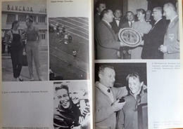 Gold Ela - Sweeping tail - Elizabeth Dunska-Krzesinska