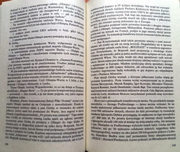 Buster, do not bounce. Scandals in Polish football (Tomasz Jagodzinski)