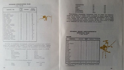 Half century of athletics in Poland