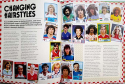 Panini Football Stickers. The Official Celebration