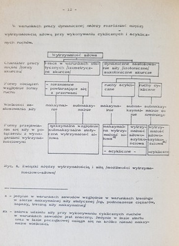Speed and speed training / Strength endurance and strength endurance training
