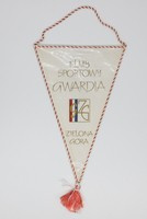 Sport Club Gwardia Zielona Gora small pennant (official product)