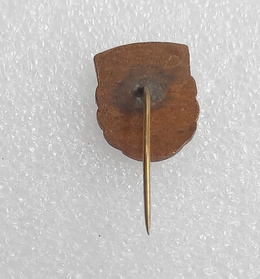 SKS Star Starachowice with bronze garland badge (enamel)