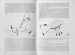 The Physics of sport