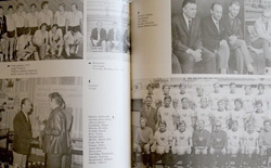 How this was seen Vejvoda