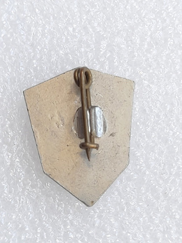 SK Sibir Novosibirsk ice hockey club badge (USSR, lacquer)