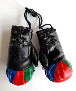 Azerbaijan national team mini boxing gloves (official product)