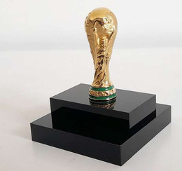 FIFA World Cup Qatar 2022 Trophy Replica in Display Case Official Licensed Product)