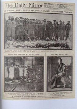 You not shoot, We not shoot